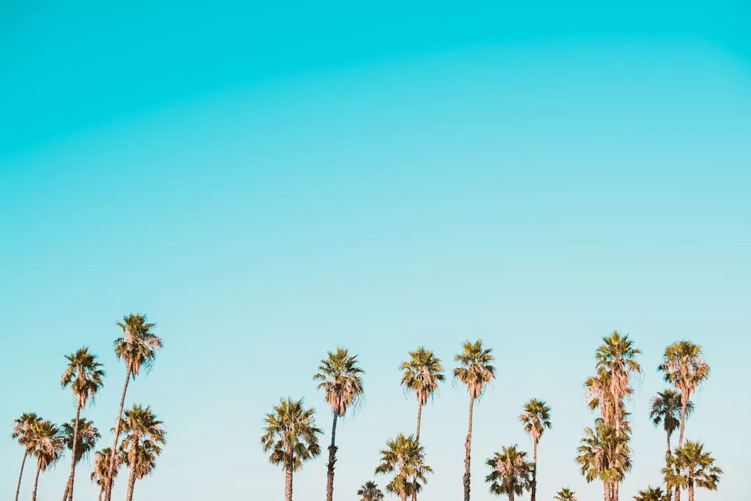 Familienrestaurants an der Costa del Sol: Die besten Optionen