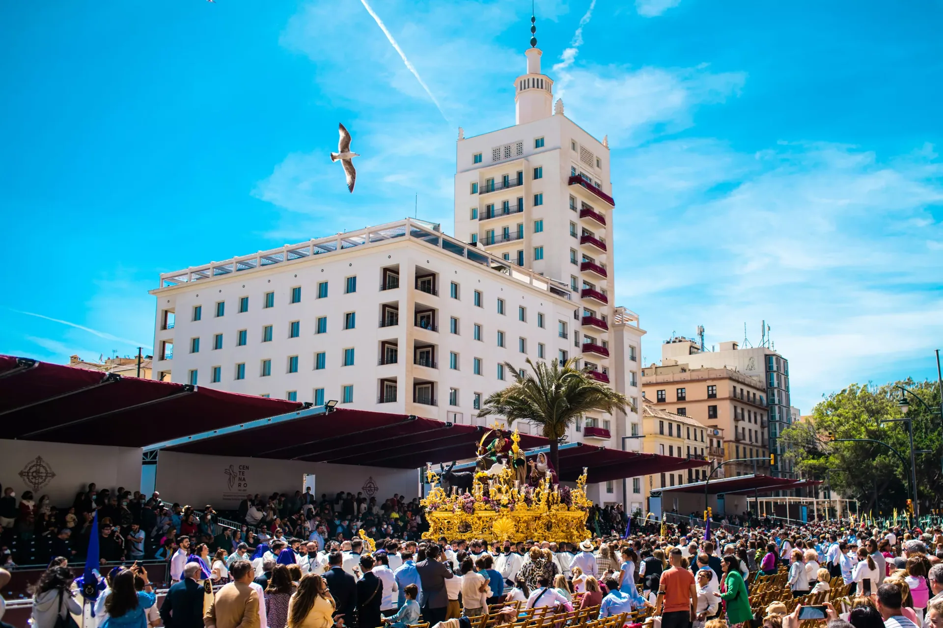 Geheime Tapas Bars in Málaga: Versteckte Genüsse