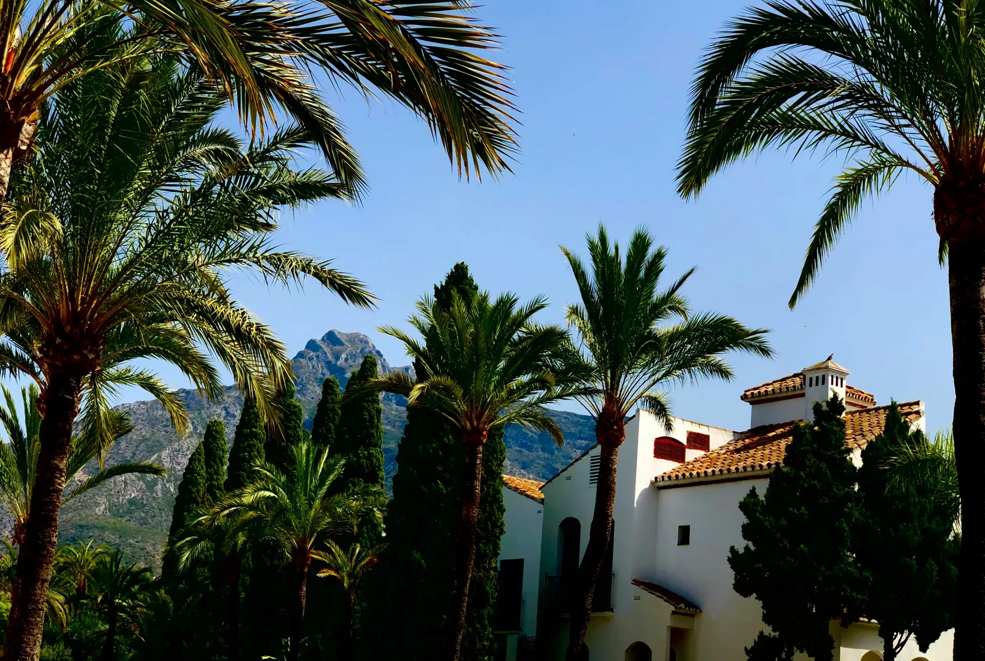 Die Top 5 luxuriösesten Gegenden in Marbella