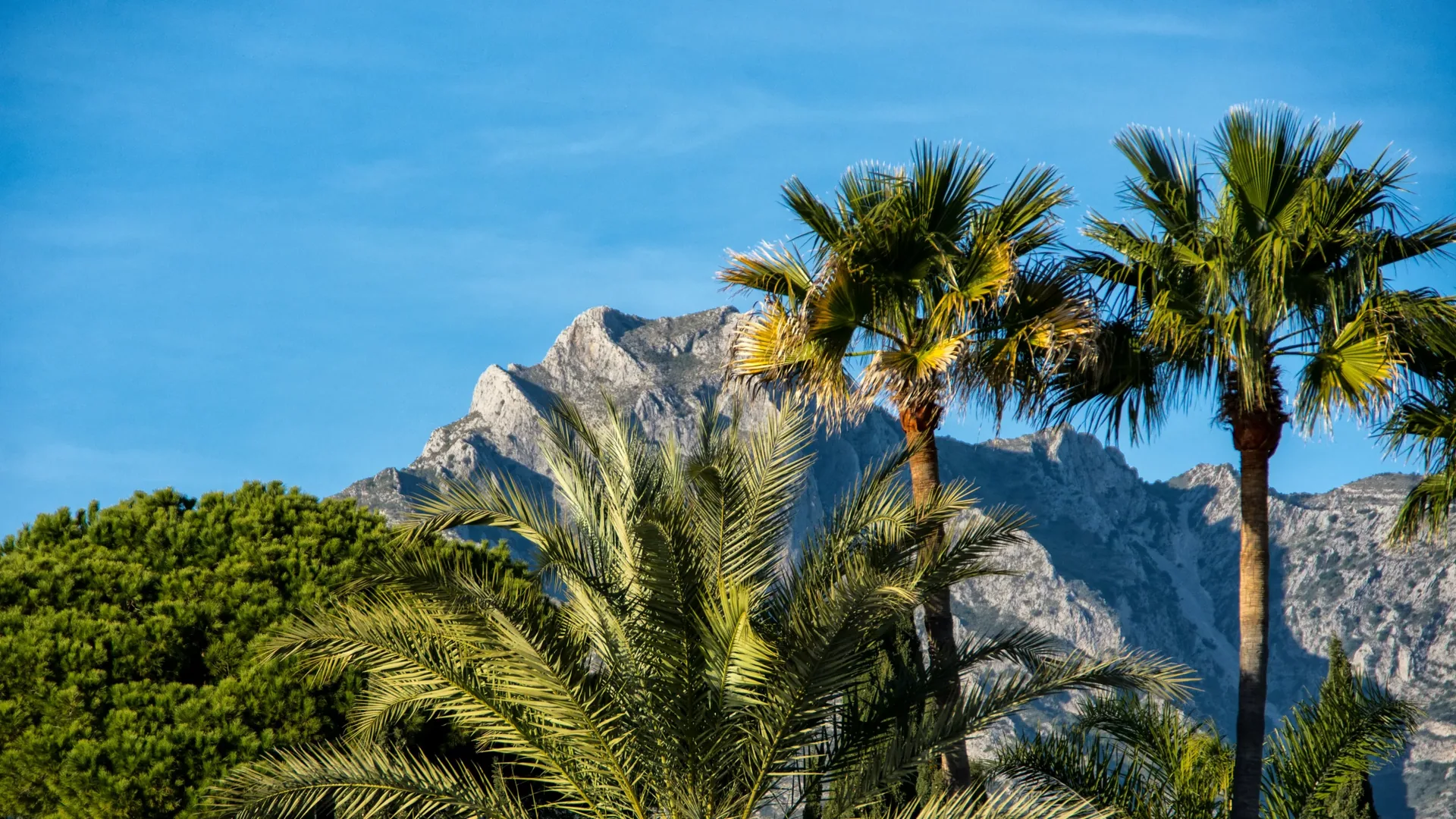 Der Ruhestand an der Costa del Sol: Ein Traumziel für Senioren